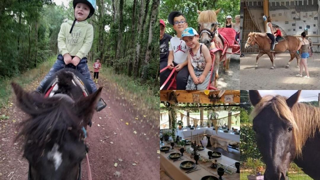 Ecuries Leseigneur - Camping Insolites Bolleville  Zewnętrze zdjęcie