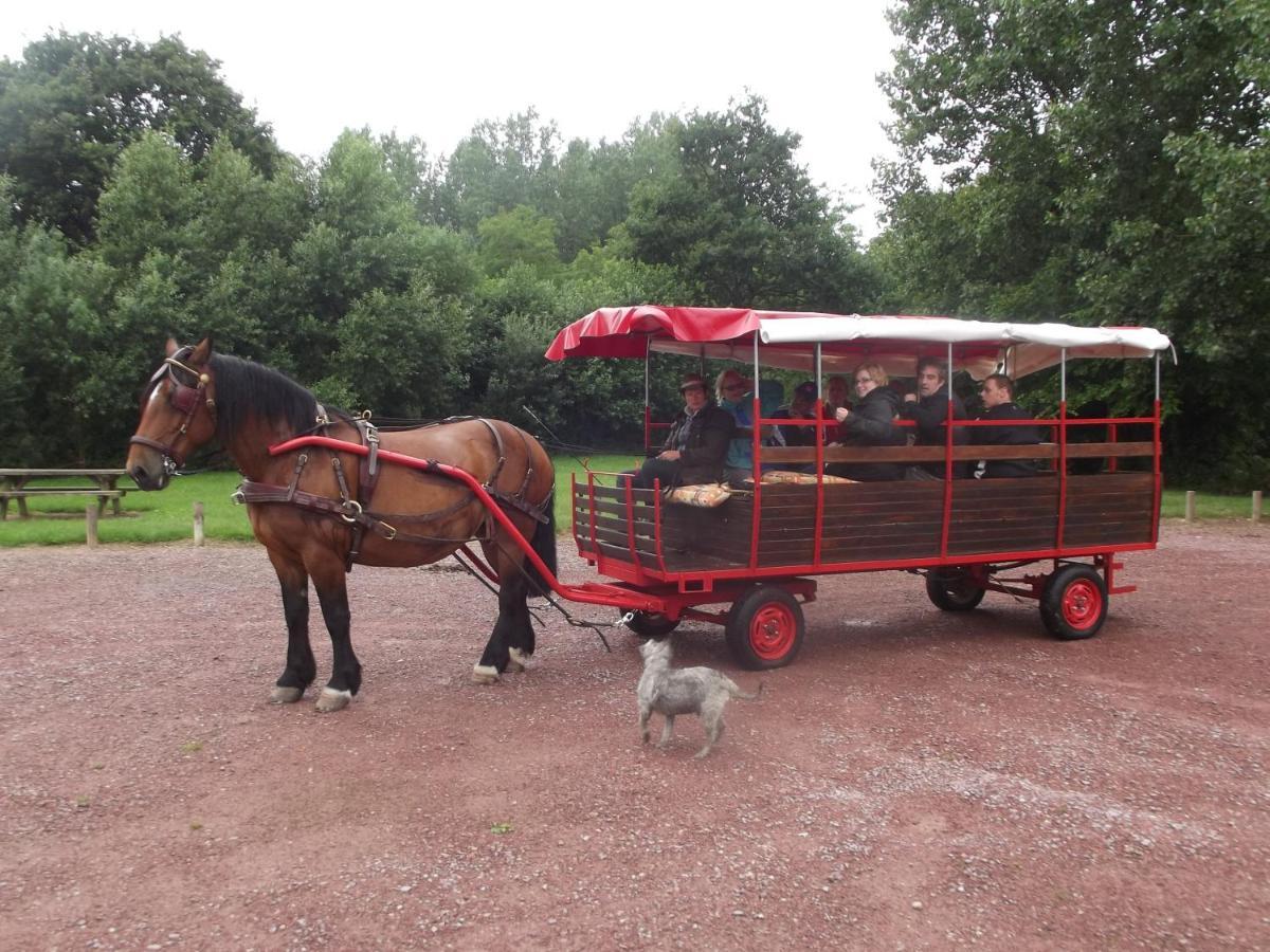 Ecuries Leseigneur - Camping Insolites Bolleville  Zewnętrze zdjęcie